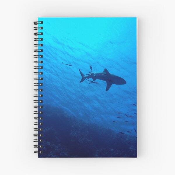 Item preview, Shark designed and sold by RedVico.