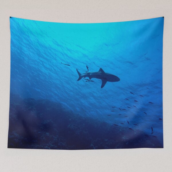 Item preview, Shark designed and sold by RedVico.