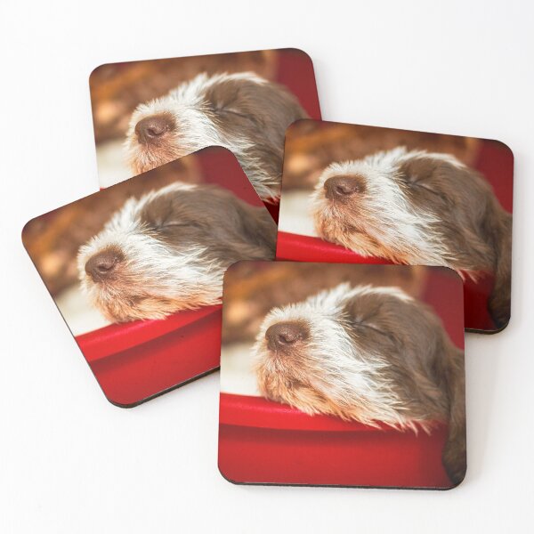 Item preview, Snoozy Spinone puppy designed and sold by FOLK ART FUSION by heidiannemorris.