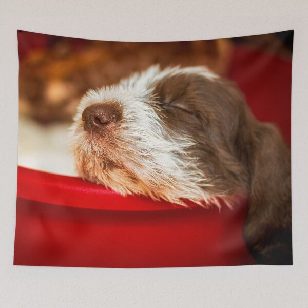 Item preview, Snoozy Spinone puppy designed and sold by FOLK ART FUSION by heidiannemorris.