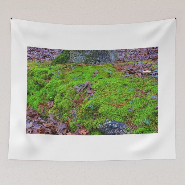 Item preview, Moss And Leaves Ground Cover designed and sold by LisaWootenPhoto.