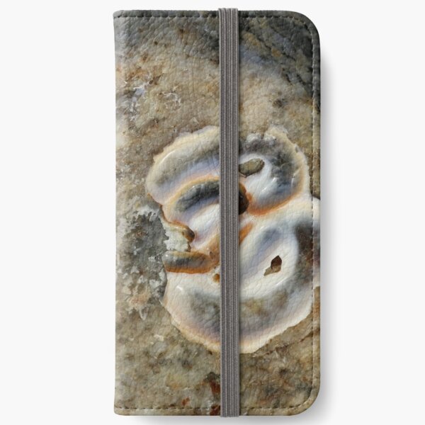 Weathered Seashell iPhone Wallet