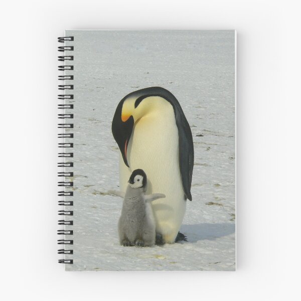 Item preview, Mother And Baby Penguin  designed and sold by Arizonagirl.