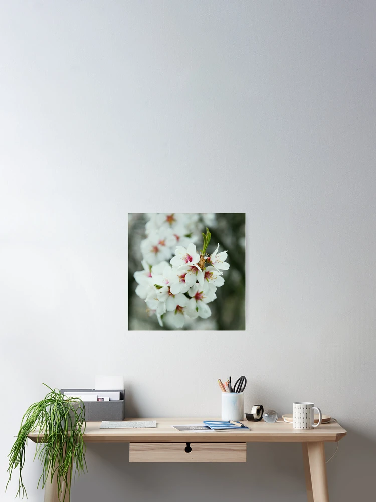 Thumbnail 2 of 3, Poster, Searching for Spring designed and sold by RobSimpson.
