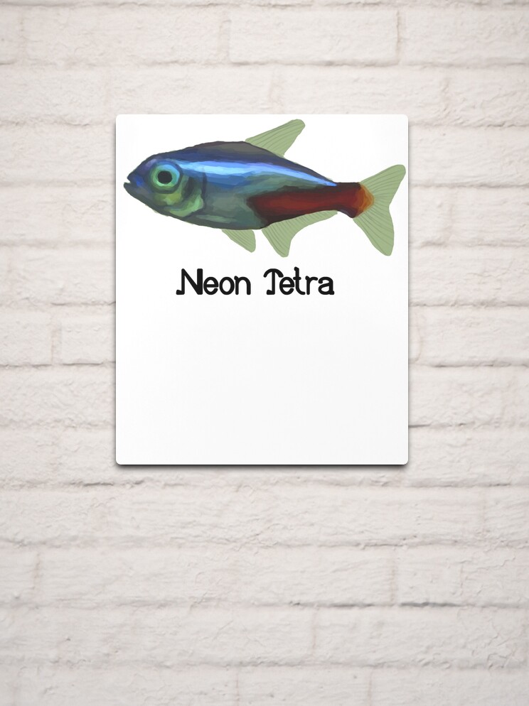 Neon Tetra - Neon Tetra Painting - Neon Tetra Shirt - Marine Biologist Gift  - Fish Painting Pillow for Sale by Galvanized