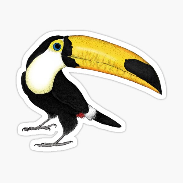 Ripley the Toucan Sticker