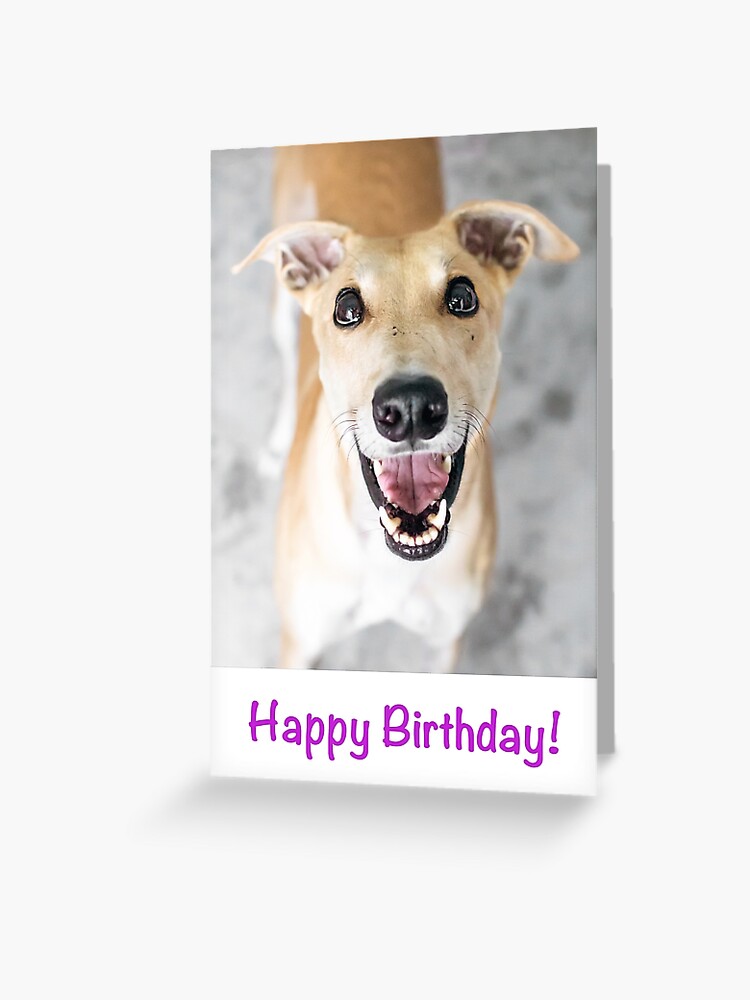Happy Birthday Greeting Card By Houndpixnz Redbubble
