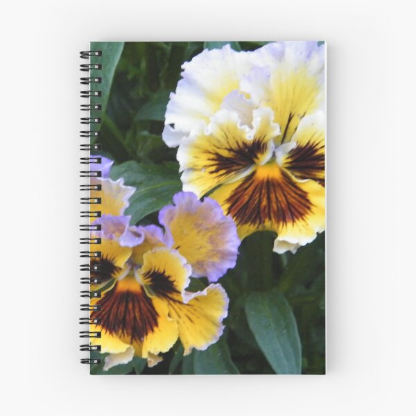Item preview, Frilly Pansies designed and sold by ElsT.