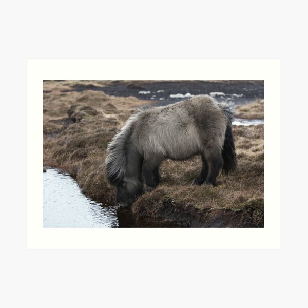 Having a Drink! Art Print