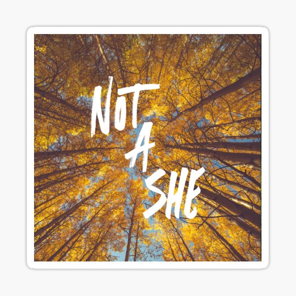 Item preview, NOT A SHE, v3 designed and sold by Skyler Orion X.