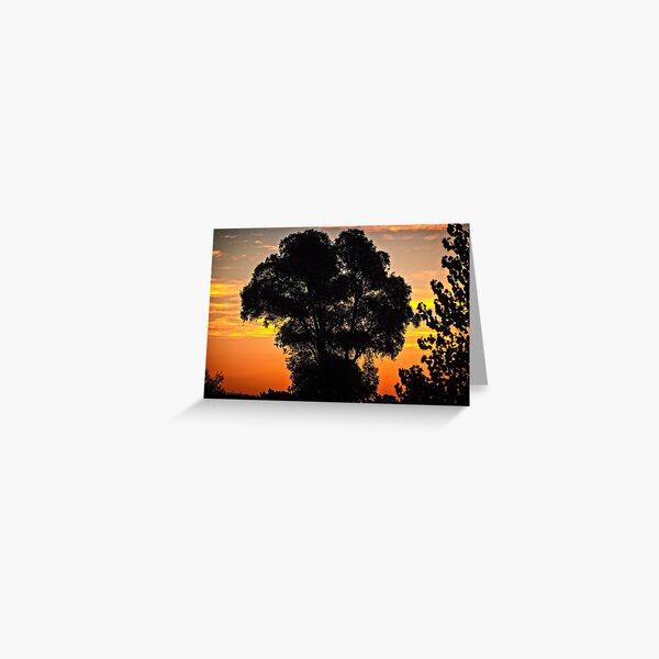 Item preview, Sunset at Bairnsdale designed and sold by Yukondick.