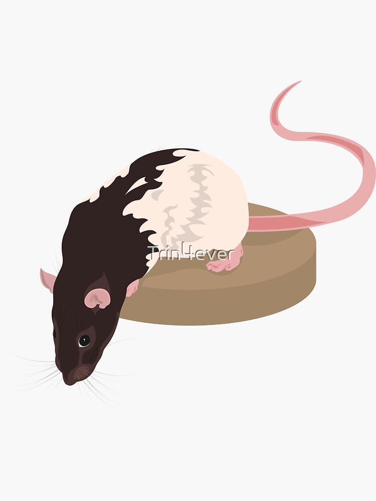 Curious Rat by Trin4ever