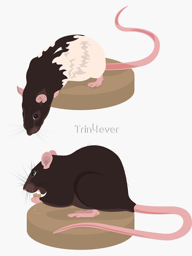 Curious Rat and Brown Rat by Trin4ever