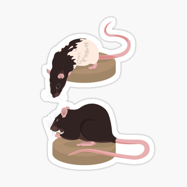 Curious Rat and Brown Rat Sticker