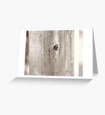 Wood Knot - Iowa Playground Greeting Card