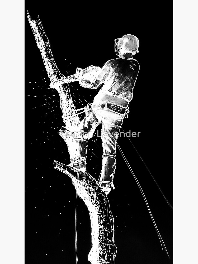 "Arborist Tree Surgeon design." Sticker for Sale by KoiPainting Redbubble
