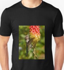 Rufous Hummingbird on Red Hot Poker T-Shirt Unisex T-Shirt