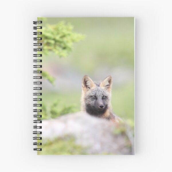 Item preview, Cross Fox Kit designed and sold by mlorenz.