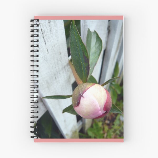 Item preview, A Rose Bud designed and sold by Hekla Hekla.