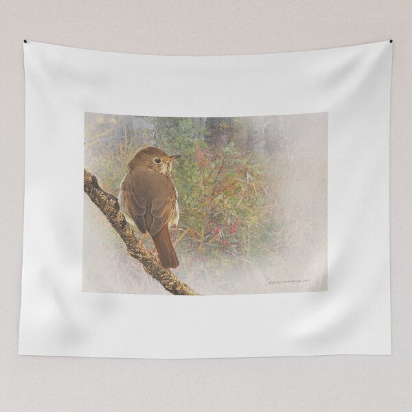 Item preview, deep forest hermit thrush designed and sold by R Christopher Vest.