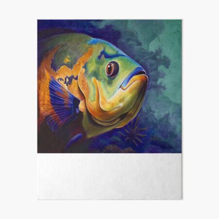 Oscar Fish Art Board Prints for Sale