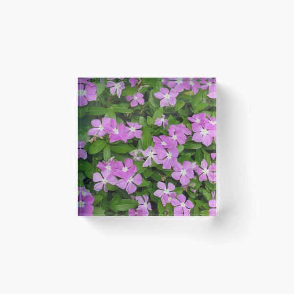 Item preview, Purple Flowers designed and sold by MimiHillier.