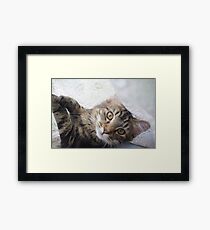 Skits playing innocent Framed Print