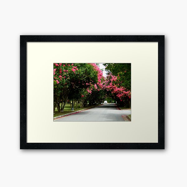 Item preview, Tree-lined Street      ^ designed and sold by ctheworld.