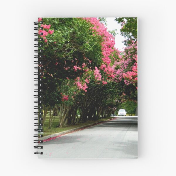 Item preview, Tree-lined Street      ^ designed and sold by ctheworld.