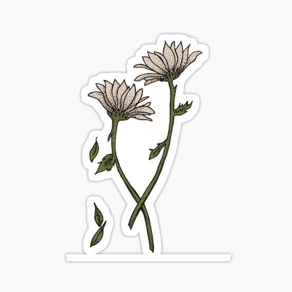 Item preview, Daisies Flower - Belmont designed and sold by Rawan Alfaraj.