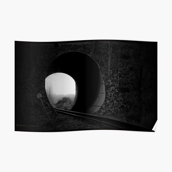 Entering the Abyss Poster