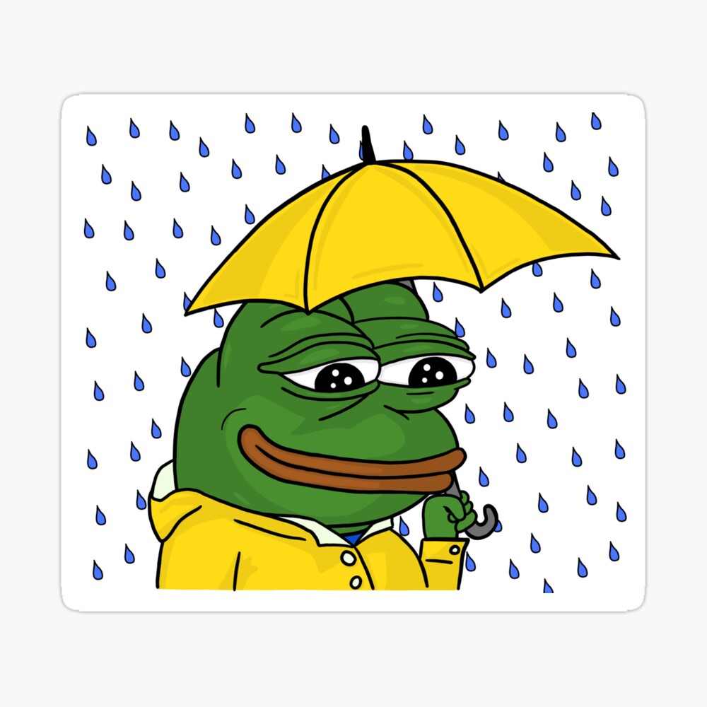 feels rain man pepe