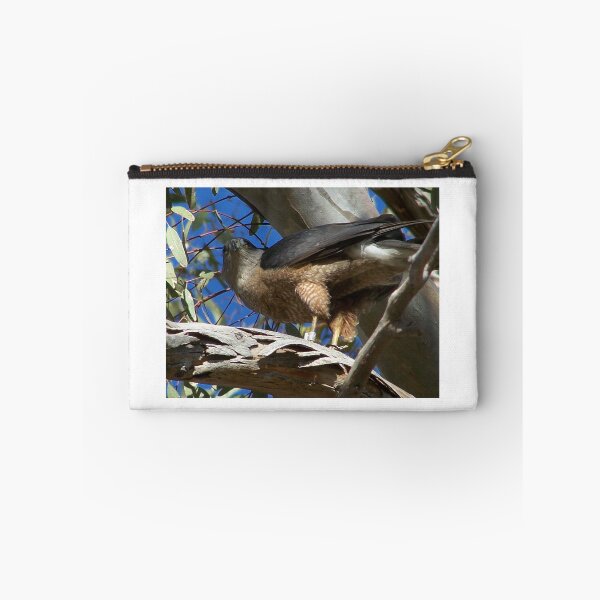 Item preview, coopers hawk designed and sold by RichImage.