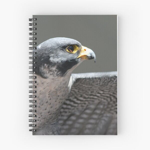 Item preview, Peregrine Falcon profile 2 designed and sold by RichImage.