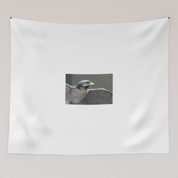Item preview, Peregrine Falcon profile 2 designed and sold by RichImage.