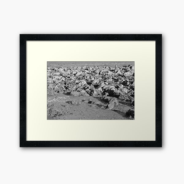 Rock glory - Sandgate, Queensland Framed Art Print
