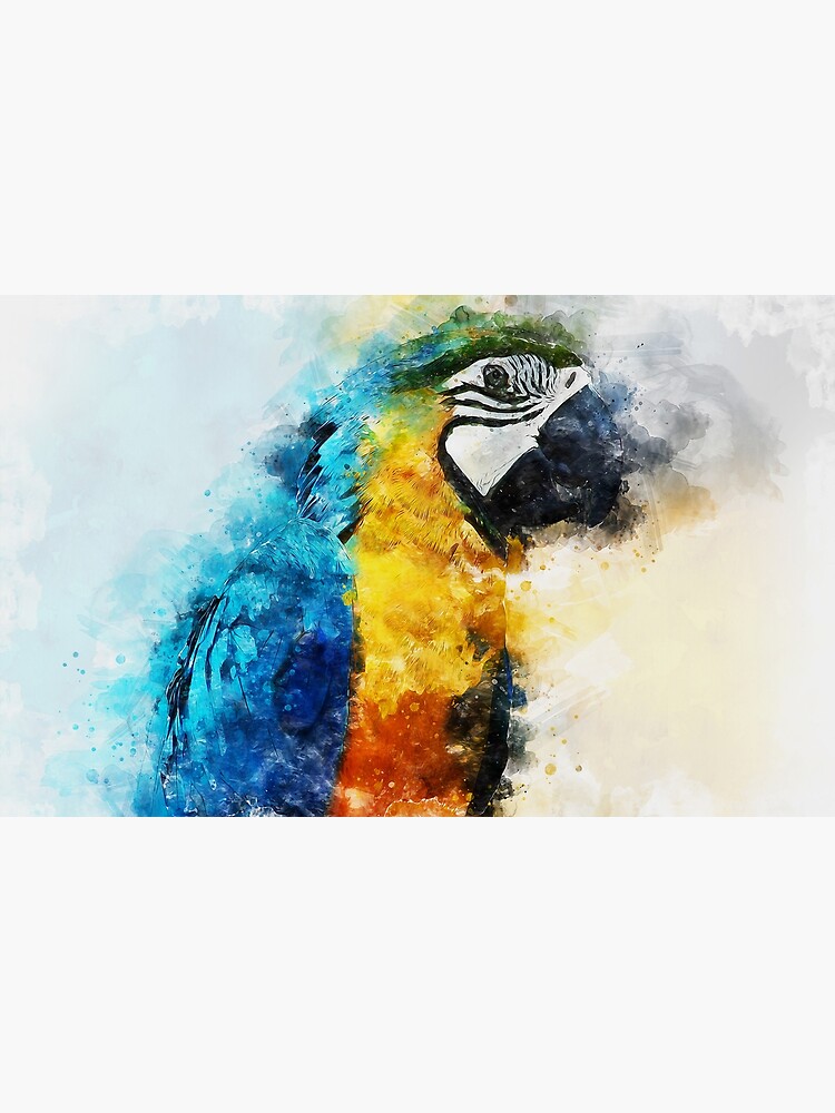 "Colorful Parrot" Art Print for Sale by ErianAndre | Redbubble