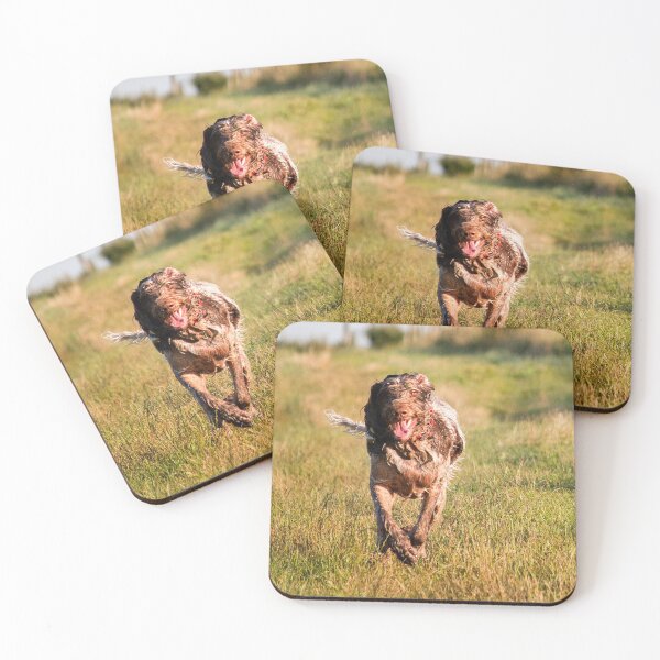 Item preview, Brown Roan Italian Spinone Dog in Action designed and sold by FOLK ART FUSION by heidiannemorris.