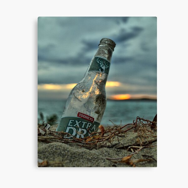 Remenents of a Nice Day Canvas Print