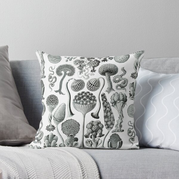 Item preview, Ernst Haeckel - Mycetozoa designed and sold by ShaMiLaB.