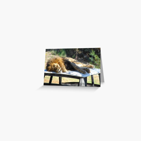 Daktari Greeting Card