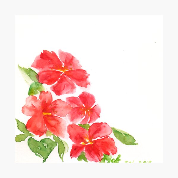Red Blossoms 01 Photographic Print
