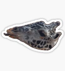 Giraffe with brown outline Sticker