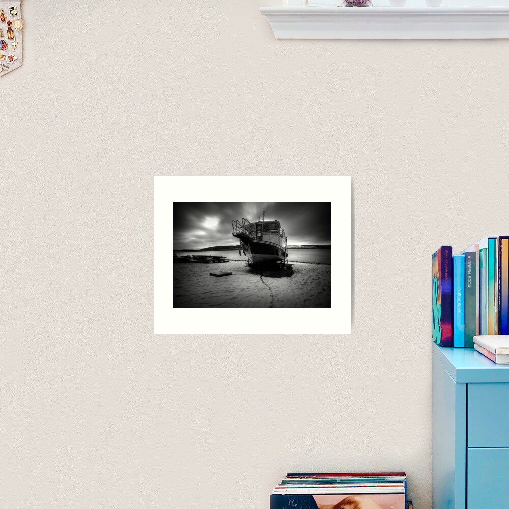 Osprey Art Print