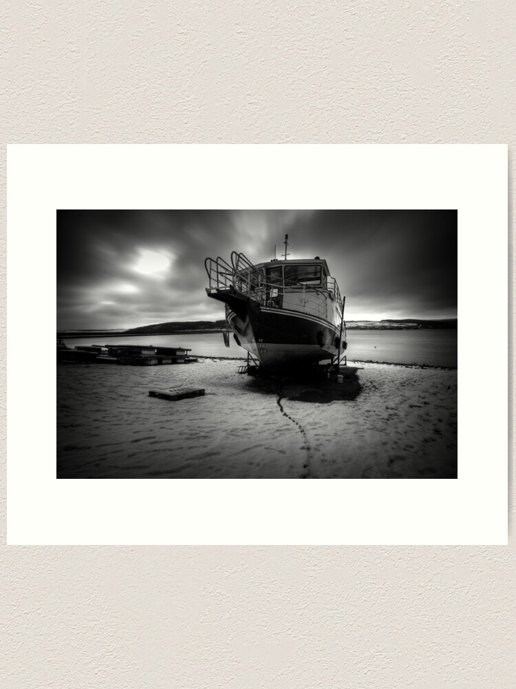 Alternate view of Osprey Art Print