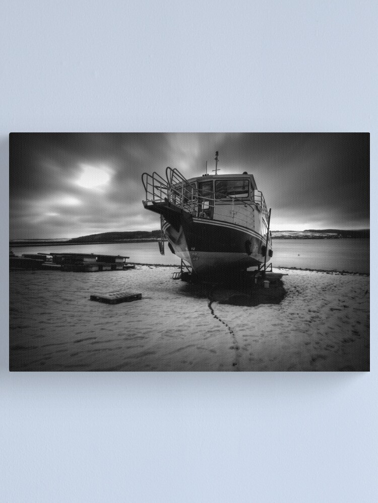 Alternate view of Osprey Canvas Print