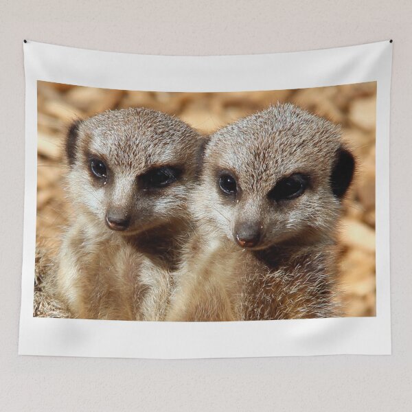 Item preview, Meerkat Pups designed and sold by MGphotoart.