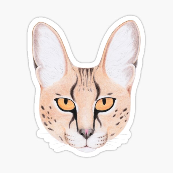 African Serval Cat Sticker