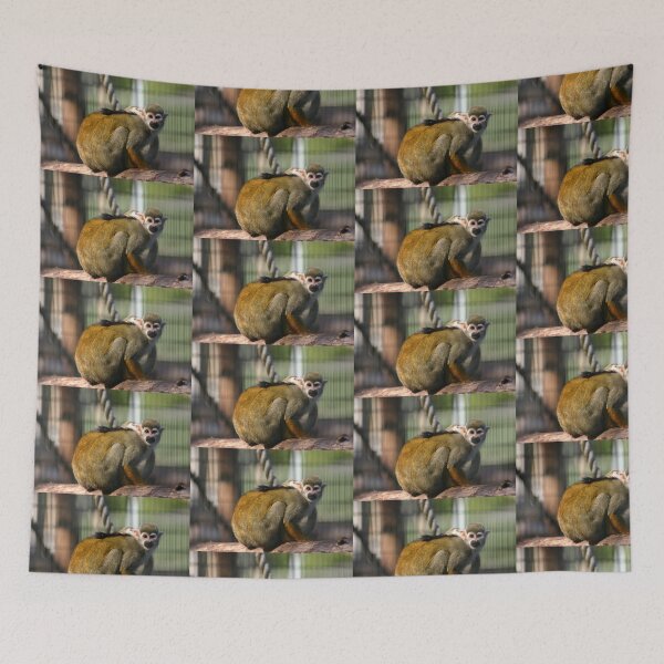 Item preview, Capuchin Monkey Original  Animal Photography designed and sold by WAROME79.