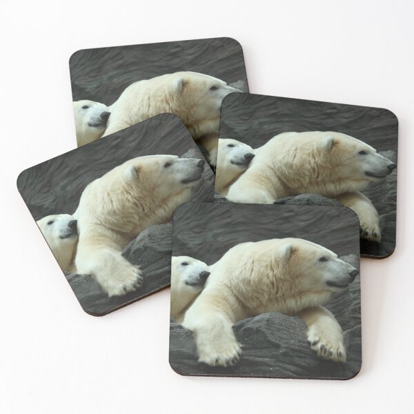 Item preview, Polar Bears: Snuggle designed and sold by TVD-Photography.